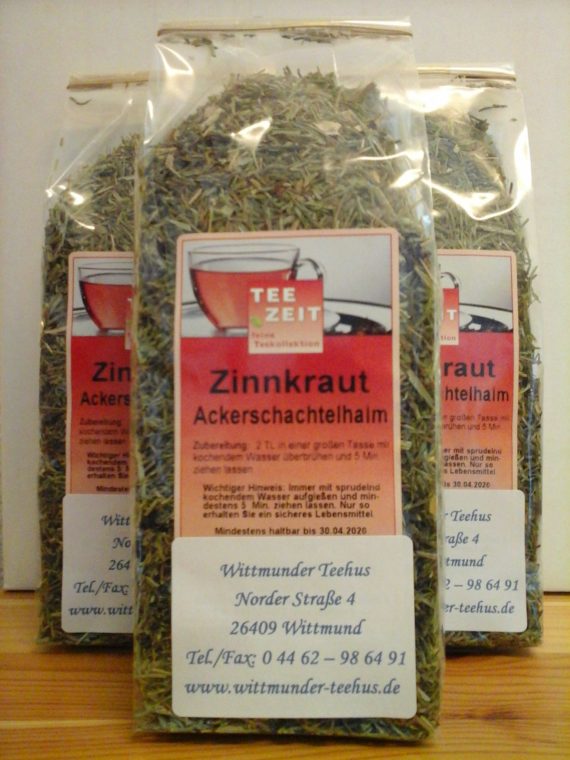Zinnkraut (Ackerschachtelhalm)